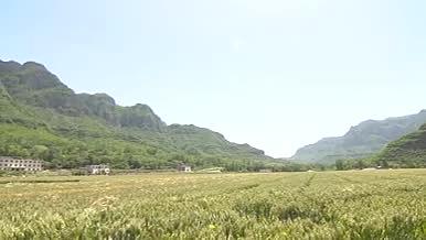 太行山山景农村田园麦田1分3秒视频的预览图
